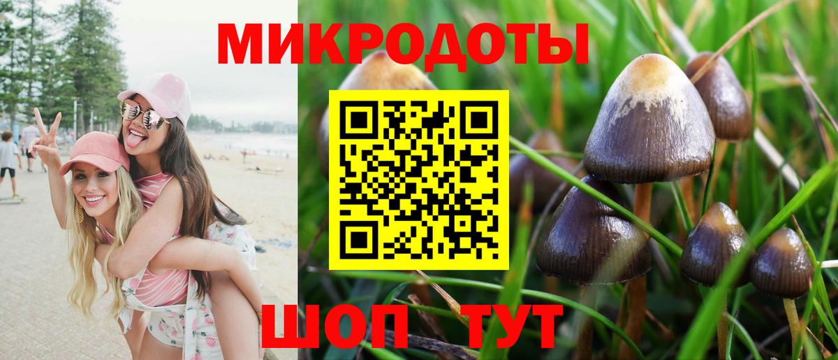 Псилоцибиновые грибы прущие грибы  Вход с VPN  Назарово 